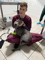 Виктор Владимирович Оленин